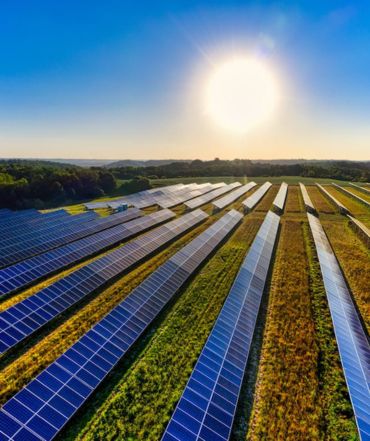 Les longs jours d'été ensoleillés sont une aubaine pour les propriétaires de panneaux photovoltaïques.